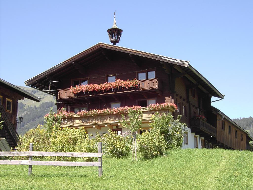 Mitterhaidgut Villa Hollersbach im Pinzgau Exterior foto