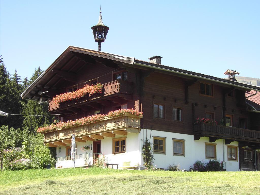 Mitterhaidgut Villa Hollersbach im Pinzgau Exterior foto